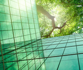 A more targeted planning of the use of funds of the EAAI is required