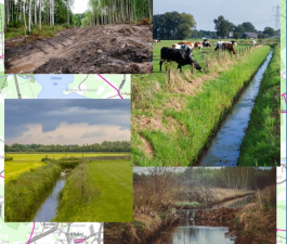 Improperly maintained land reclamation systems mean the risk of flooding and damage in the future