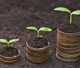 SAO Latvia provides the Government with an assessment of bonus calculations and costs during the spring emergency