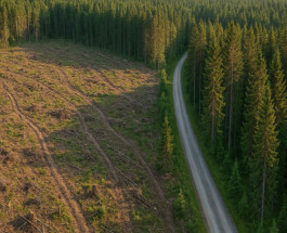 AS “Latvijas valsts meži” pārvaldīšanā esošo mežu ilgtspējīga apsaimniekošana.