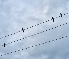 Valsts kontrole aicina Regulatoru izvērtēt elektroenerģijas sadales pakalpojumu tarifu aprēķinu metodiku