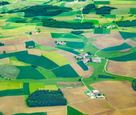 Būtisku valsts atbalstu Covid-19 krīzes seku mazināšanai saņēmusi arī graudu audzēšanas nozare