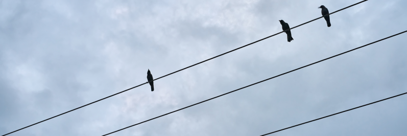 Elektroenerģijas sadales pakalpojumu tarifi pakalpojuma lietotāju intereses nenodrošina pilnā apjomā