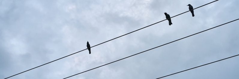Valsts kontrole aicina Regulatoru izvērtēt elektroenerģijas sadales pakalpojumu tarifu aprēķinu metodiku